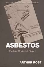 Rose, A: Asbestos - The Last Modernist Object