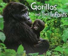 Hall, M: Gorillas and Their Infants