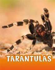 Jaycox, J: Tarantulas