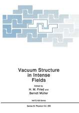 Vacuum Structure in Intense Fields