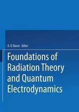 Foundations of Radiation Theory and Quantum Electrodynamics