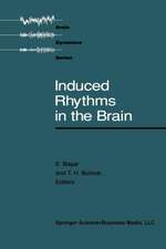 Induced Rhythms in the Brain