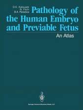 Pathology of the Human Embryo and Previable Fetus: An Atlas