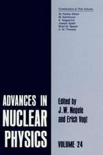 Advances in Nuclear Physics