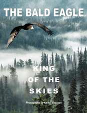 The Bald Eagle