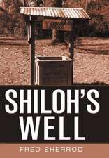 Shiloh's Well