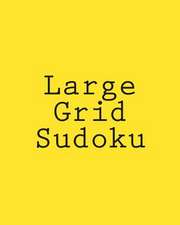 Large Grid Sudoku