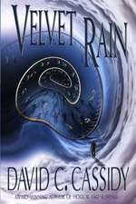 Velvet Rain