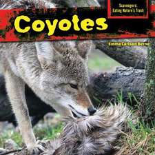 Coyotes