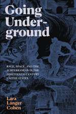 Going Underground – Race, Space, and the Subterranean in the Nineteenth–Century United States