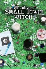 Small Town Witch