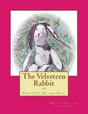 The Velveteen Rabbit