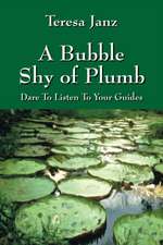 A Bubble Shy of Plumb