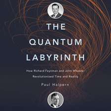 The Quantum Labyrinth