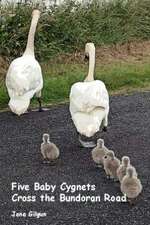 Five Baby Cygnets Cross the Bundoran Road: King James Version