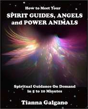 How to Meet Your Spirit Guides, Angels and Power Animals: Spiritual Guidance on Demand in 5 to 10 Minutes, a Practical Guide