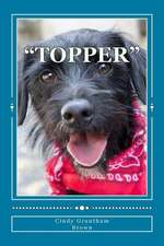 Topper: Charity Series Book 2