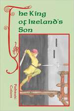 The King of Ireland's Son: The Demise of the State and the Rise of Voluntary America