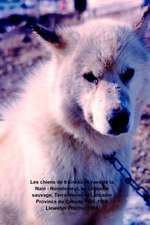 Les Chiens de Traineau Et Vues de La Nain - Nunatsiavut, Au Labrador Sauvage, Terre-Neuve-Et-Labrador Province Du Canada 1965-1966: Photo Albums