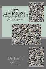 New Testament Volume Seven