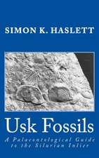 Usk Fossils