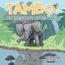 Tambo