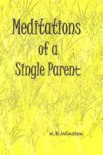 Meditations of a Single Parent