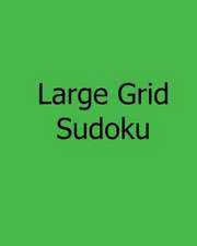 Large Grid Sudoku