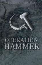 Operation Hammer