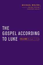 Wolter, M: Gospel According to Luke