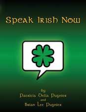 Speak Irish Now