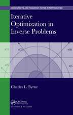 Iterative Optimization in Inverse Problems