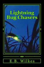 Lightning Bug Chasers