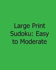 Large Print Sudoku