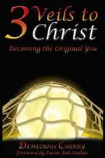 3 Veils to Christ