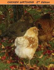 Chicken Watching