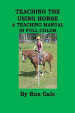 Teaching the Using Horse