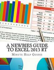 A Newbies Guide to Excel 2013 Rt