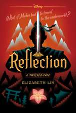 Reflection: A Twisted Tale