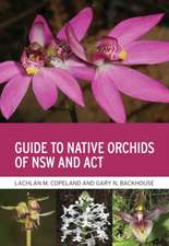 Guide to Native Orchids of Nsw and ACT