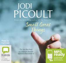 Picoult, J: Small Great Things