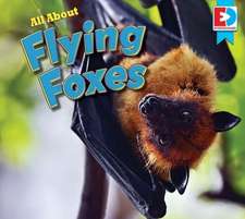 All about Flying Foxes