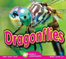 Dragonflies