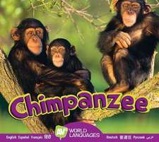 Chimpanzee