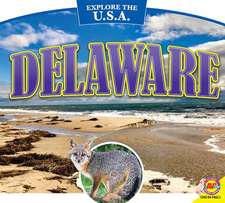 Delaware Delaware