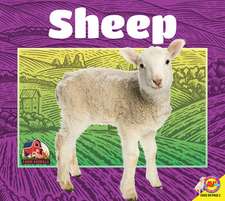 Sheep