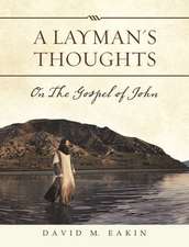 A Layman's Thoughts