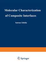 Molecular Characterization of Composite Interfaces