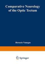 Comparative Neurology of the Optic Tectum