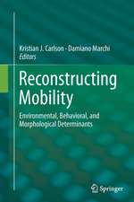 Reconstructing Mobility: Environmental, Behavioral, and Morphological Determinants